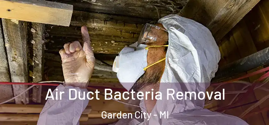  Air Duct Bacteria Removal Garden City - MI