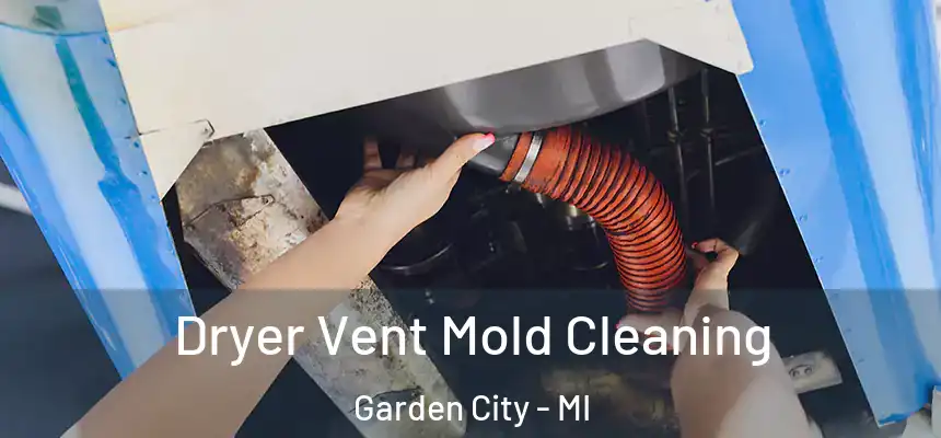 Dryer Vent Mold Cleaning Garden City - MI
