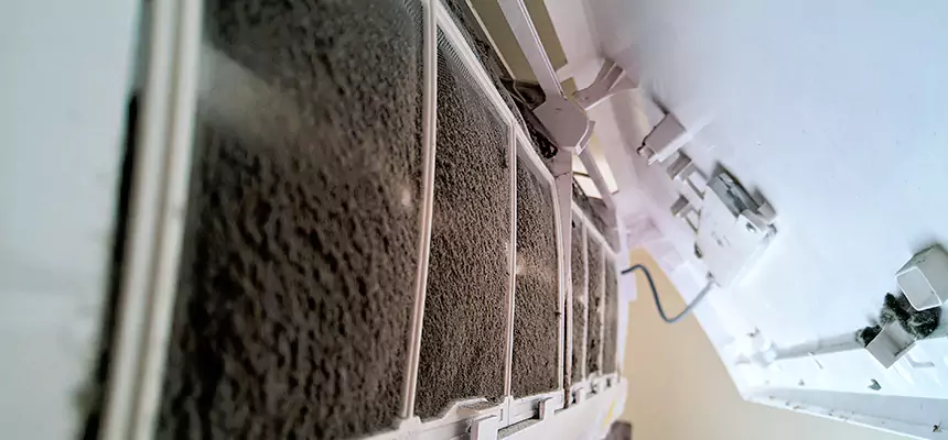 Preventive Air Duct Bacteria Removal in Garden City