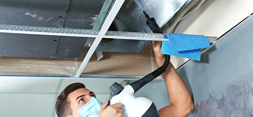 Our Air Duct Rodent Removal Services in Garden City, MI