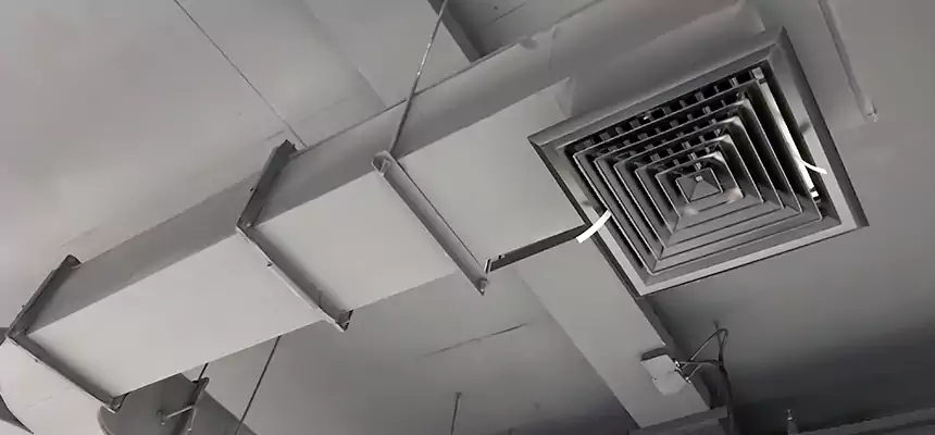 Restorative Allergy Relief Vent Cleaning – Coil, Blower & Housing Detail in Garden City