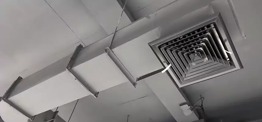 Our Pest Removal From Ducts Services in Garden City, MI