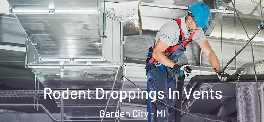  Rodent Droppings In Vents Garden City - MI