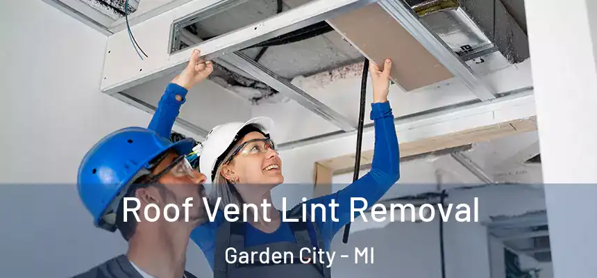 Roof Vent Lint Removal Garden City - MI