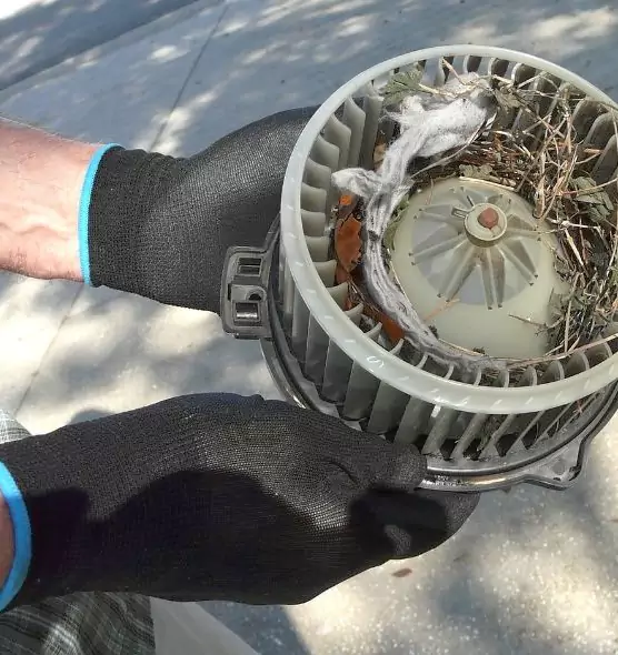 About Air Duct Mice Removal in Garden City, MI