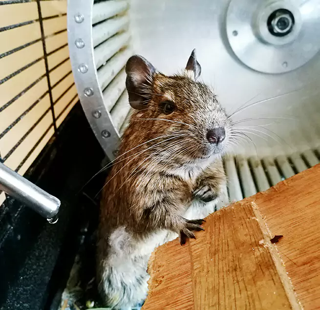 Why Homeowners & Businesses Trust Us Garden City, MI?